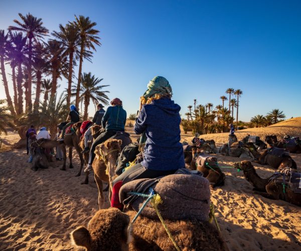 four person ride on camel